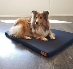 Hynde til hund